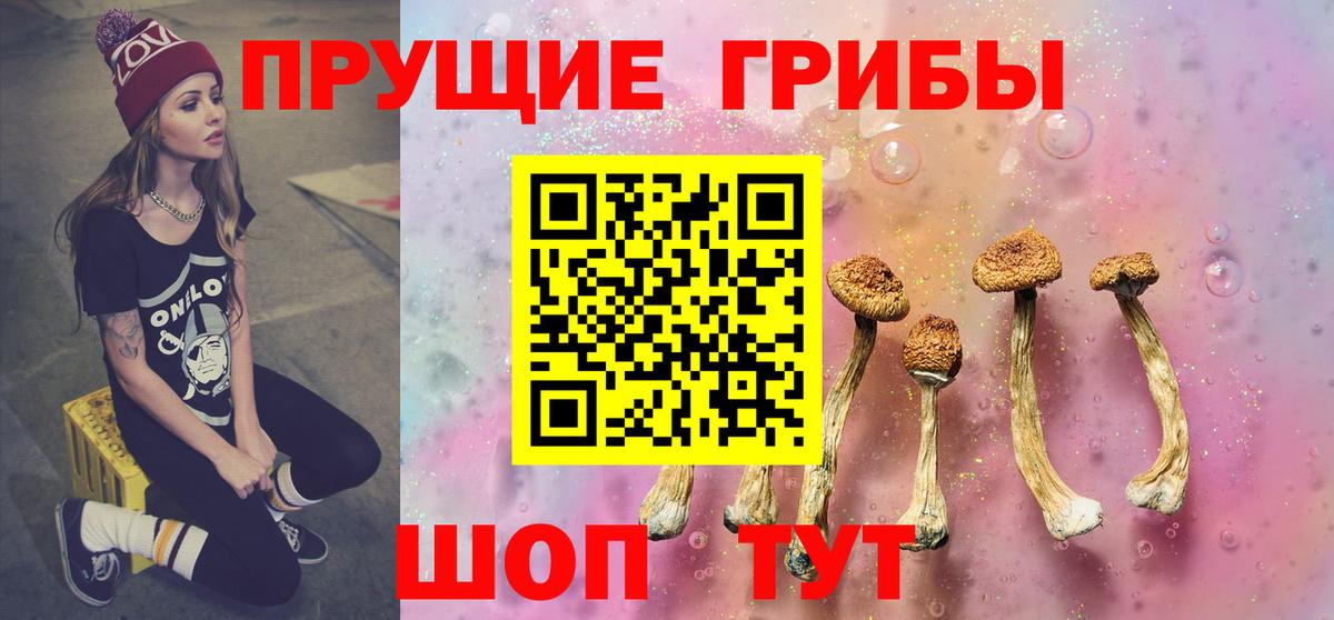 Псилоцибиновые грибы Cubensis  Вход с VPN  Топки 