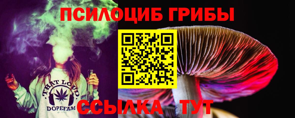 Псилоцибиновые грибы Magic Shrooms Топки